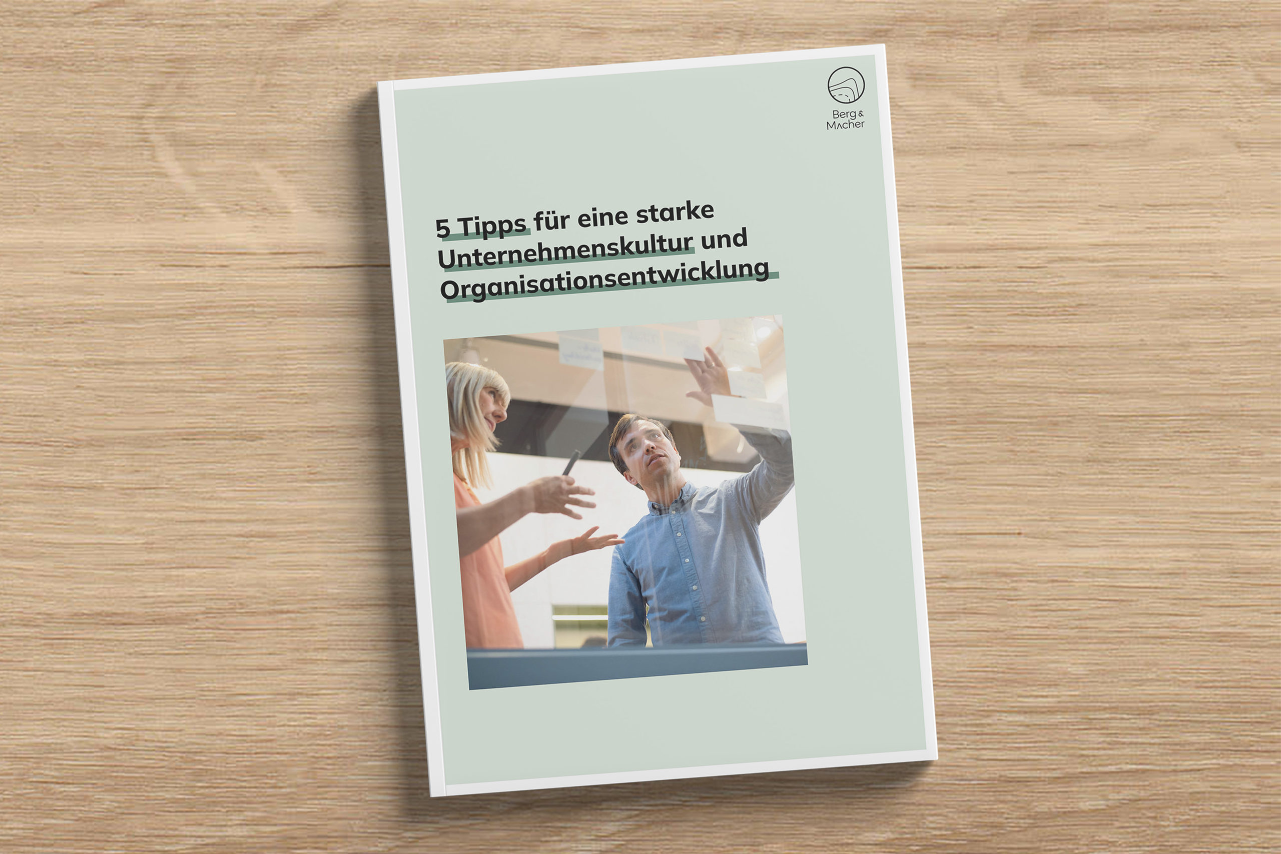 unternehmenskultur-whitepaper-berg-macher