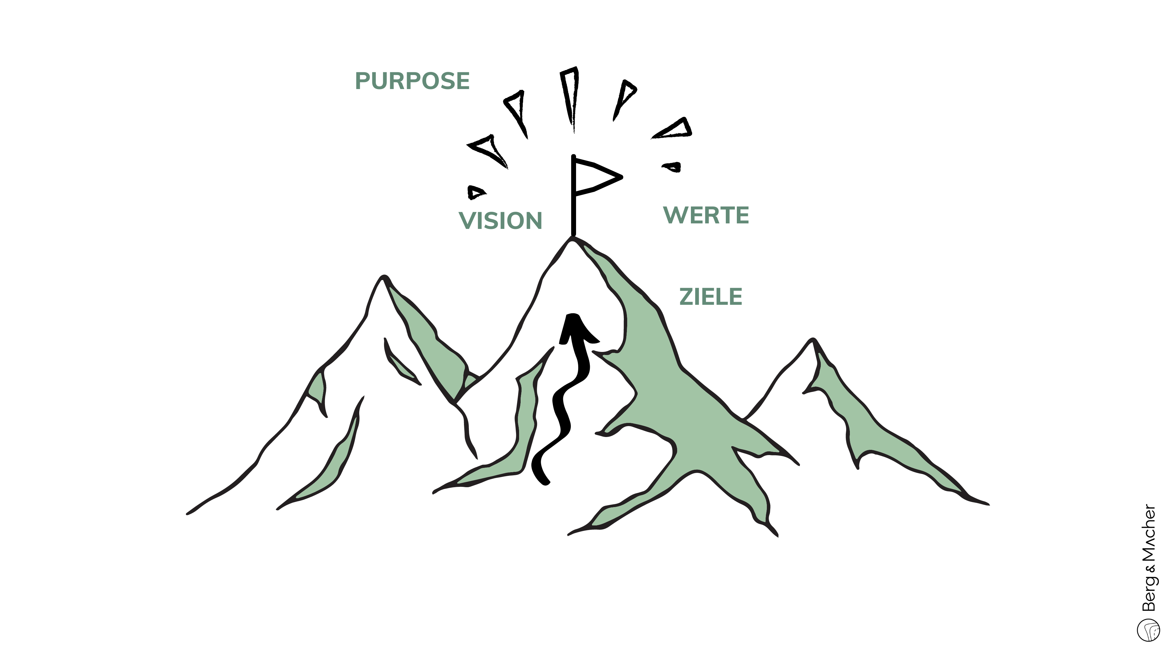 Agile Organisation Purpose Vision Werte